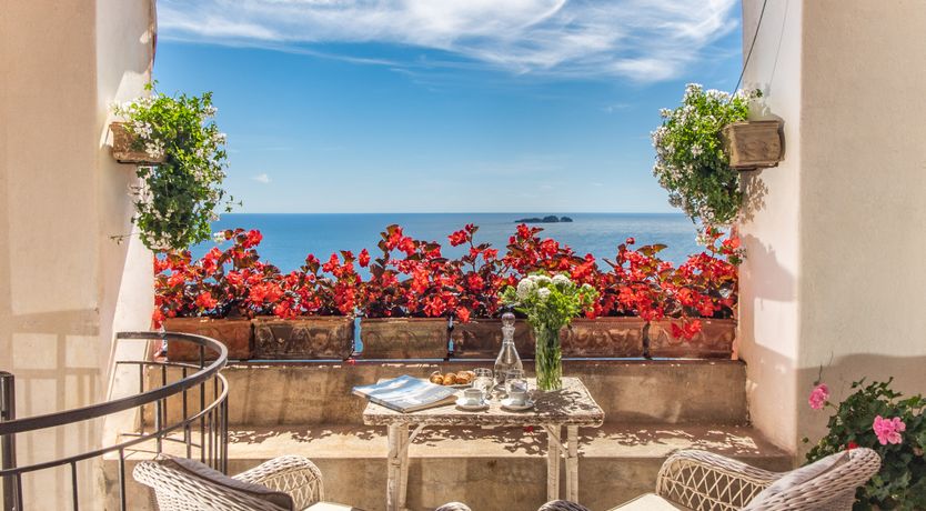 Photo of Citrus Sunshine