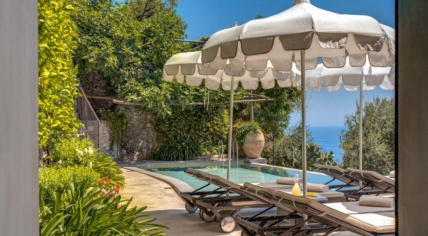 Photo of Citrus Sunshine