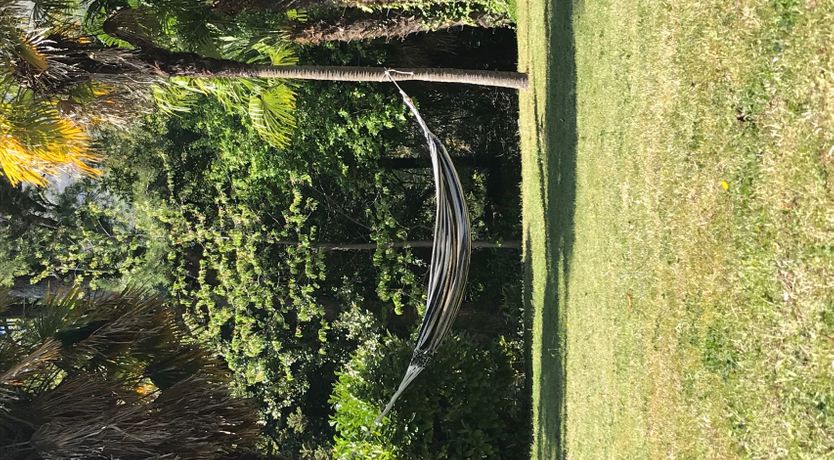 Photo of A Breath of Nature