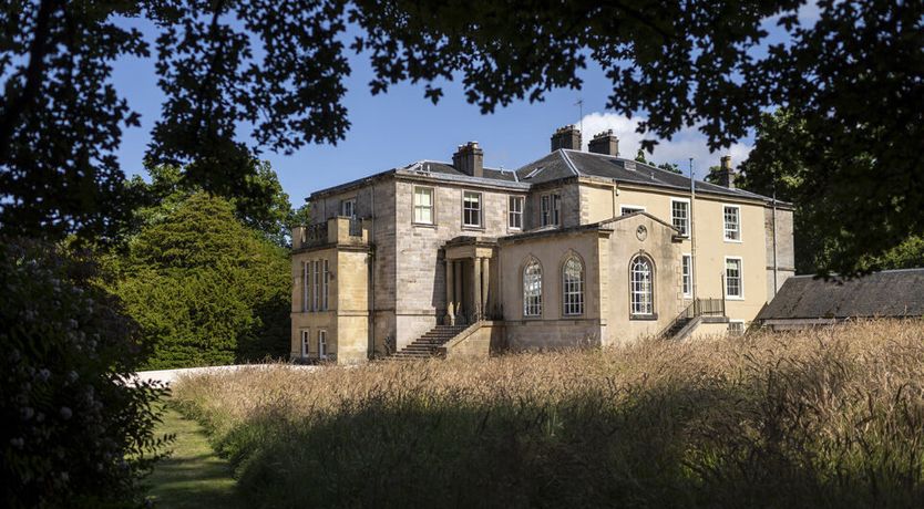 Photo of The Ancient Yew