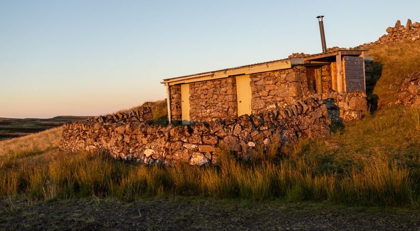Photo of The Ancient Yew