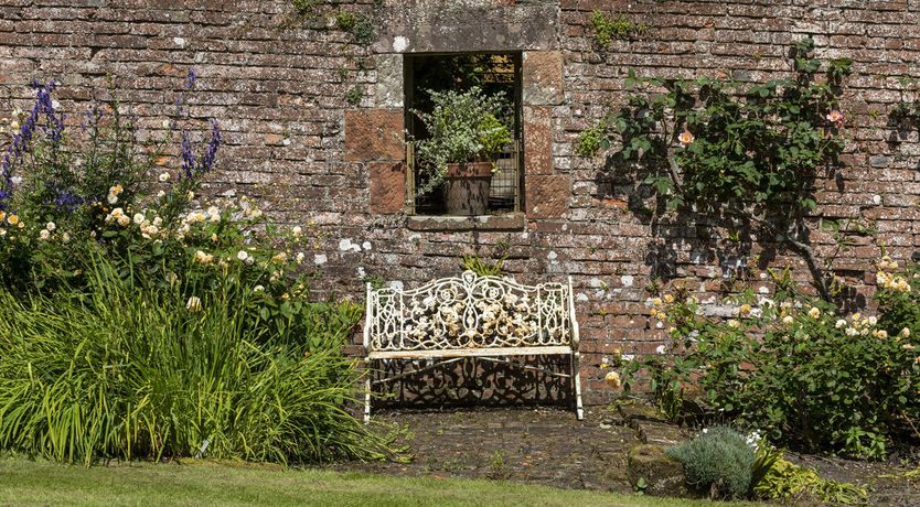 Photo of The Ancient Yew