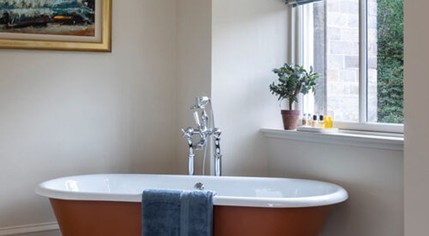 Photo of The Ancient Yew