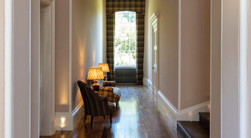 Photo of The Ancient Yew