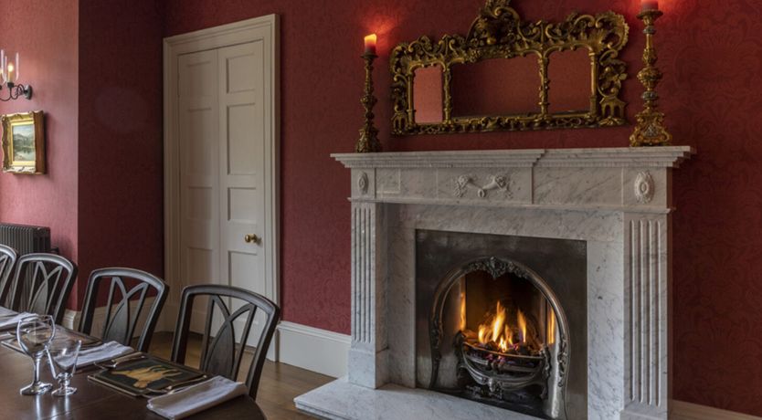 Photo of The Ancient Yew