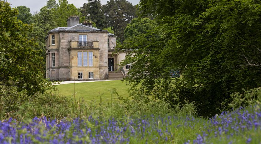 Photo of The Ancient Yew