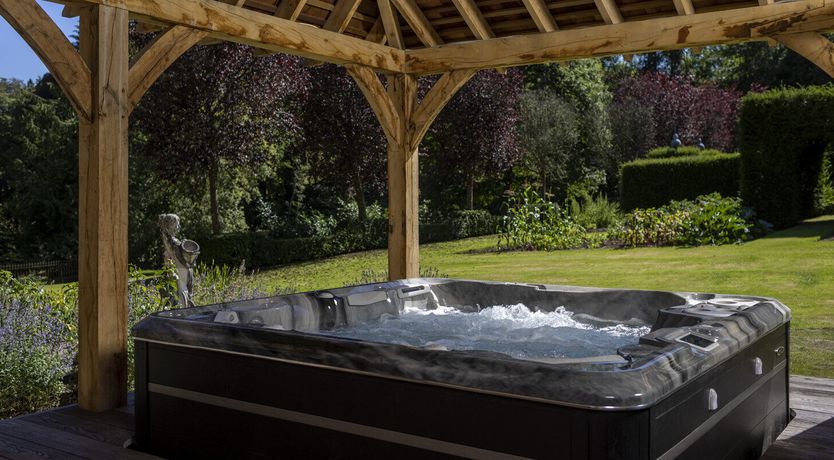 Photo of The Ancient Yew