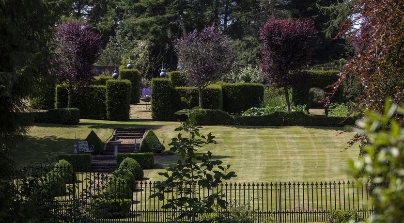 Photo of The Ancient Yew