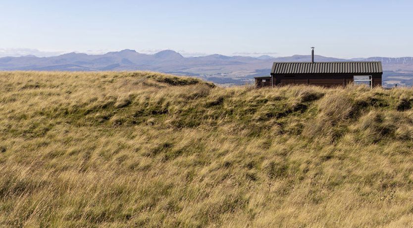 Photo of The Ancient Yew