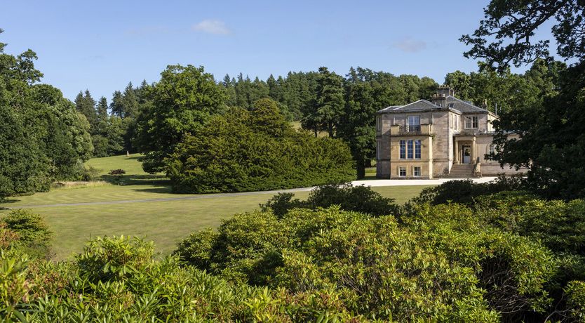 Photo of The Ancient Yew