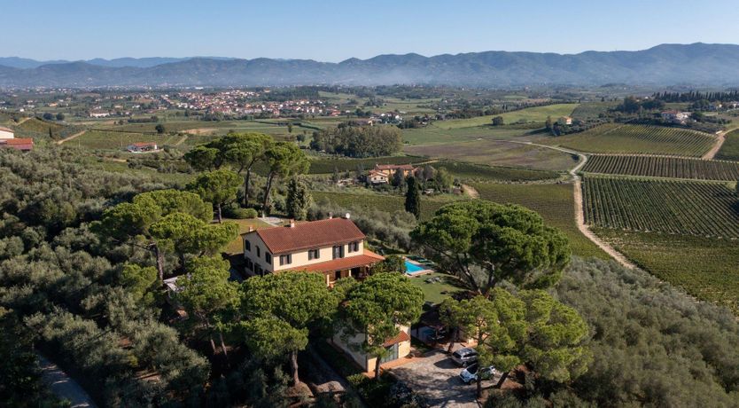 Photo of Leonardo's Muse