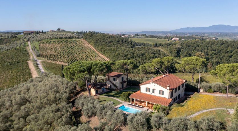 Photo of Leonardo's Muse