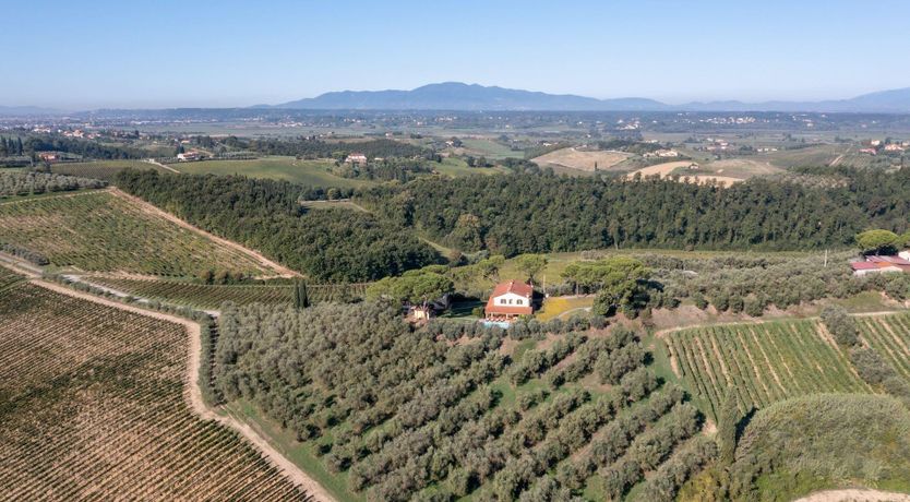 Photo of Leonardo's Muse