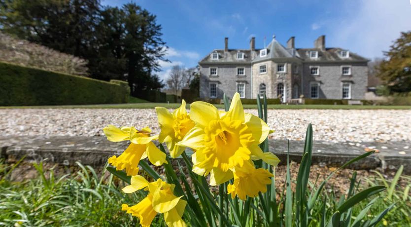 Photo of A Noble Legacy