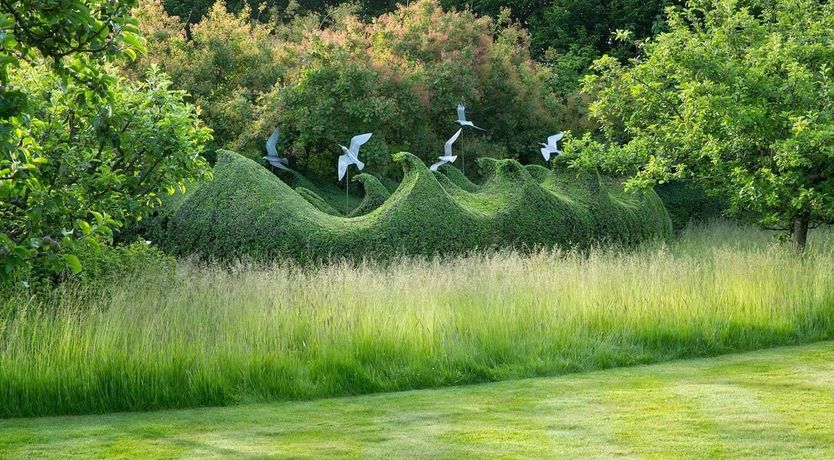 Photo of A Noble Legacy