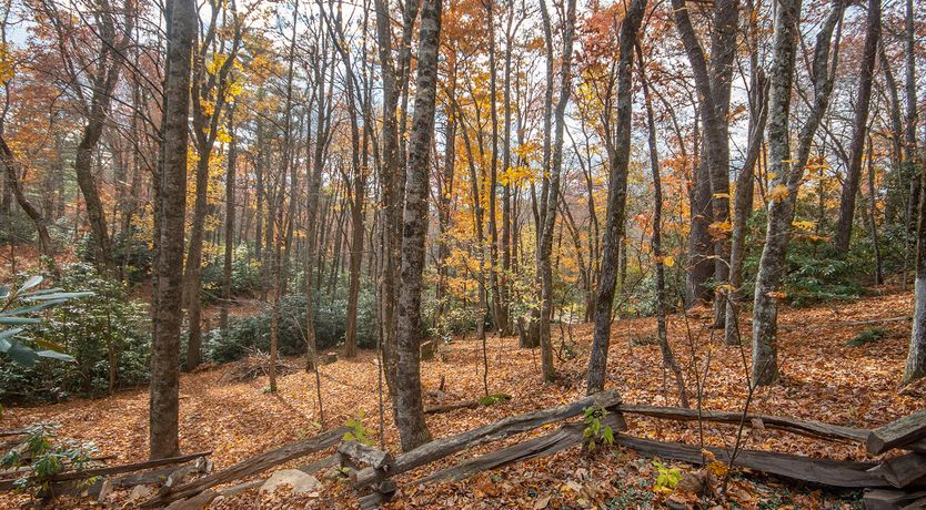 Photo of Woodland Getaway