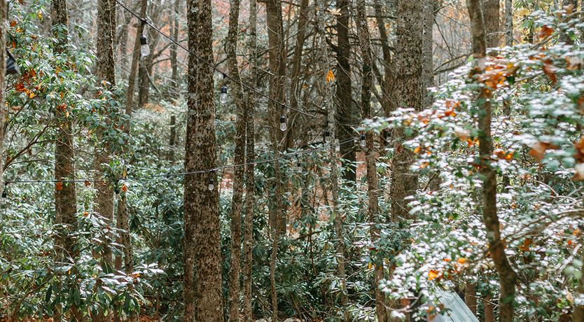 Photo of Woodland Getaway