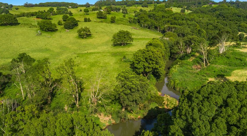 Photo of Sun-Clad Bliss