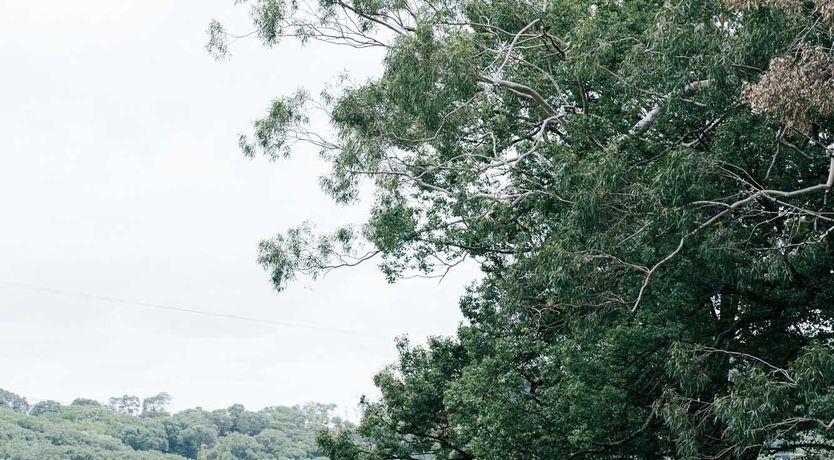 Photo of Sun-Clad Bliss