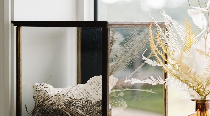 Photo of Sun-Clad Bliss