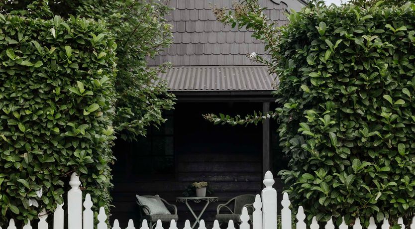 Photo of Berry Charming