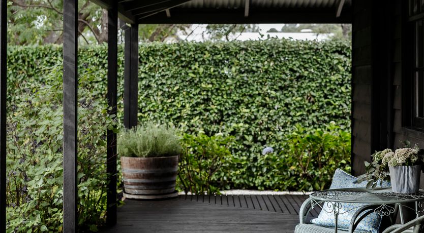 Photo of Berry Charming