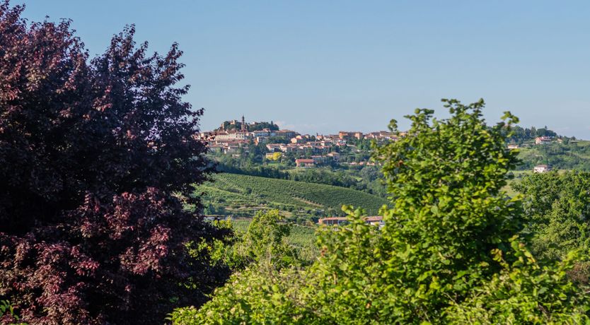 Photo of Monferrato Magic