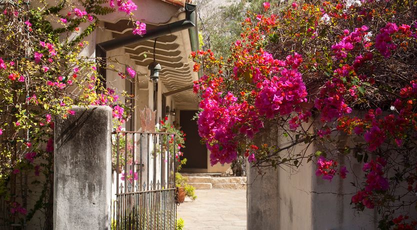 Photo of Montecito Oasis