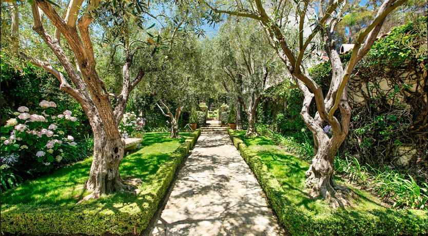 Photo of Montecito Oasis