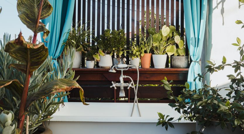 Photo of Sunny San Diego