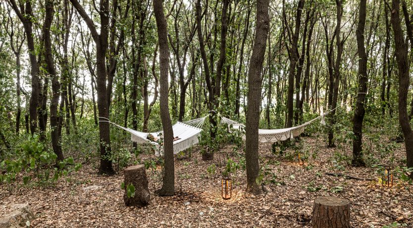 Photo of Apulia Elegance