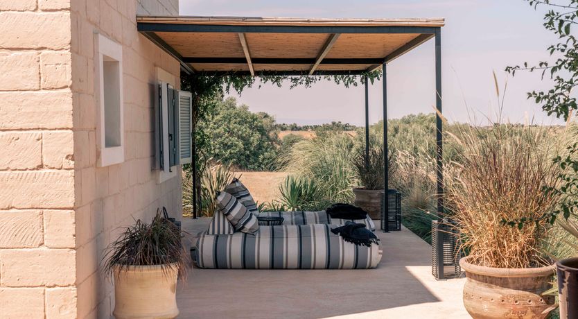 Photo of Sweet Sunlight