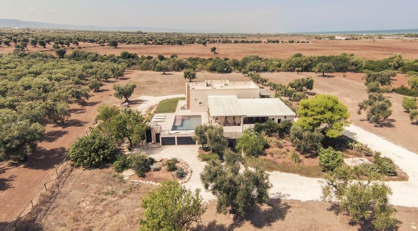 Photo of Sweet Sunlight