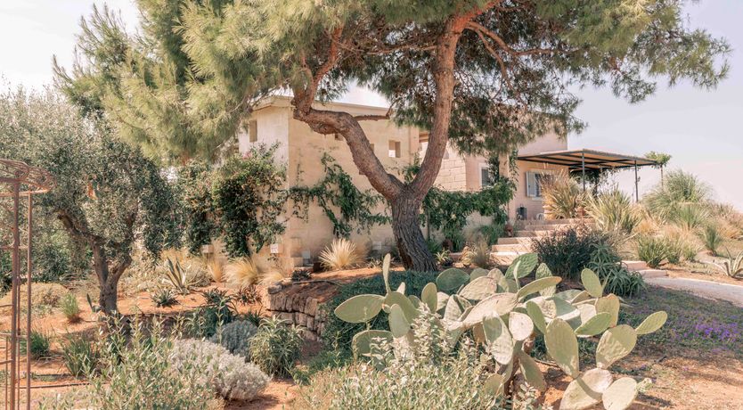 Photo of Sweet Sunlight