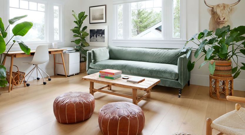 Photo of Mill Valley Marvel