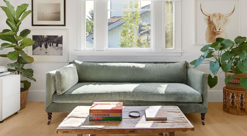 Photo of Mill Valley Marvel