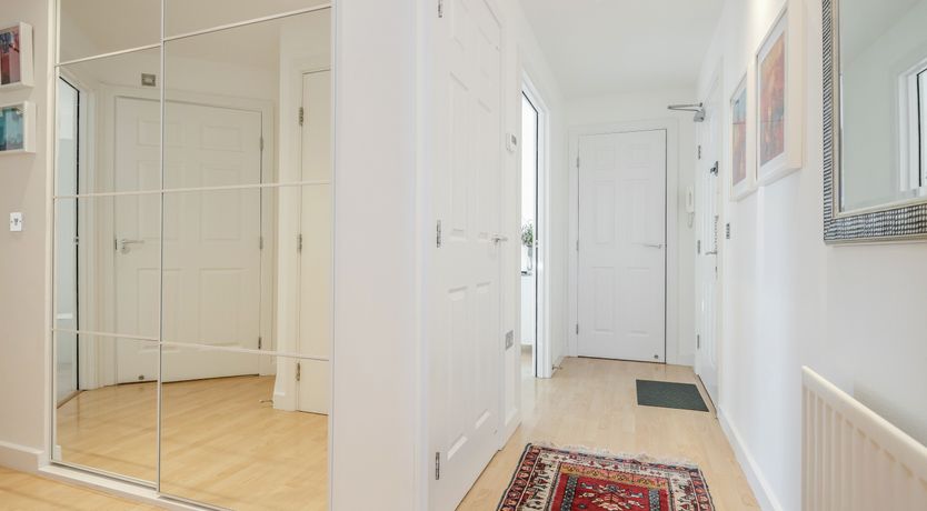 Photo of The River King