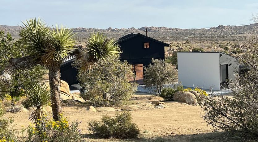 Photo of Desert Wonder