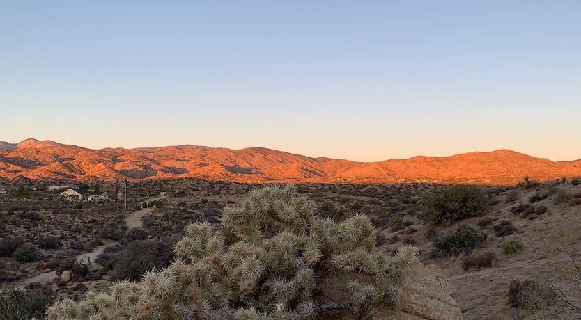 Photo of Desert Wonder