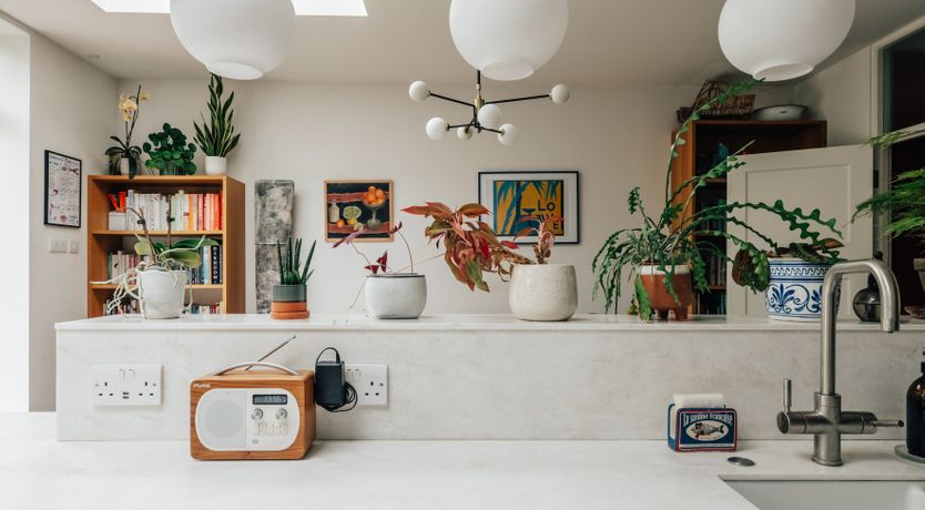 Photo of The Camberwell Flower