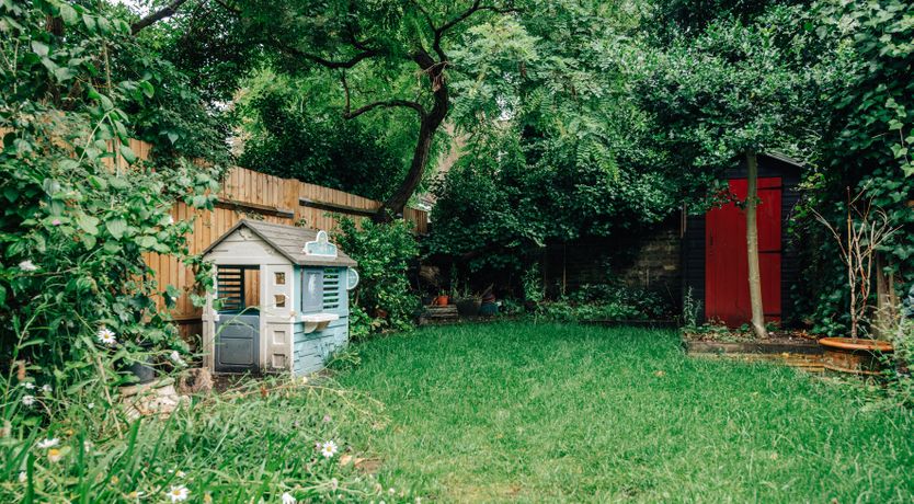 Photo of The Camberwell Flower