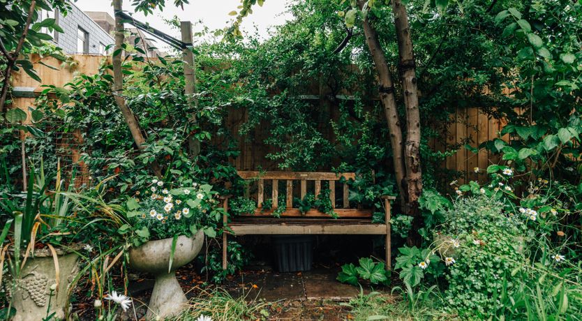 Photo of The Camberwell Flower