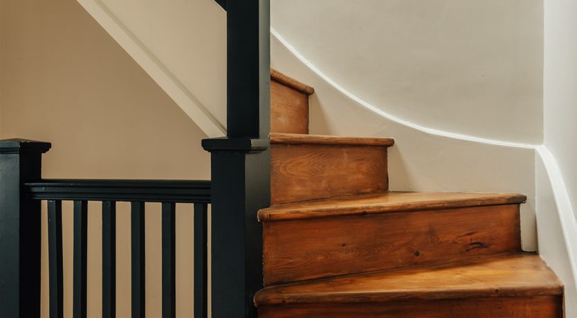 Photo of The Camberwell Flower