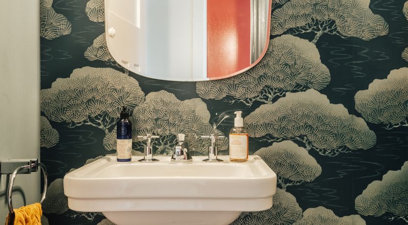 Photo of The Camberwell Flower