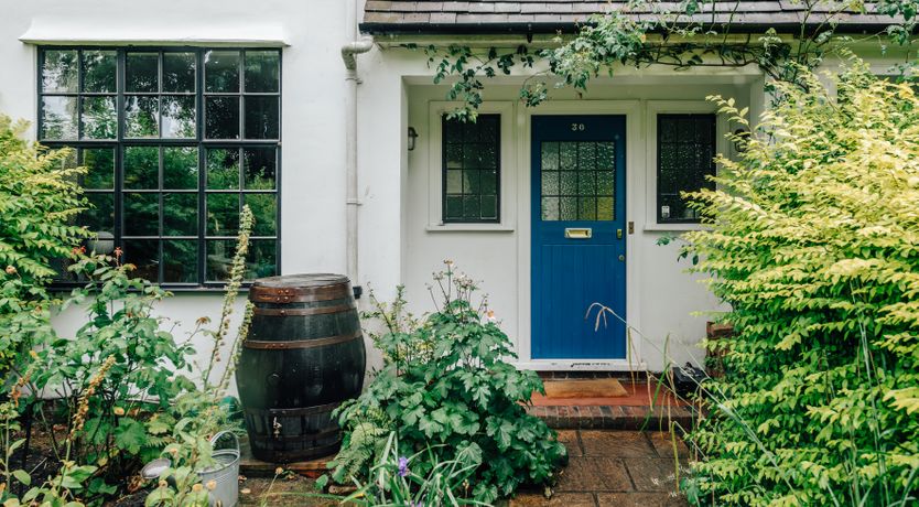 Photo of The Camberwell Flower