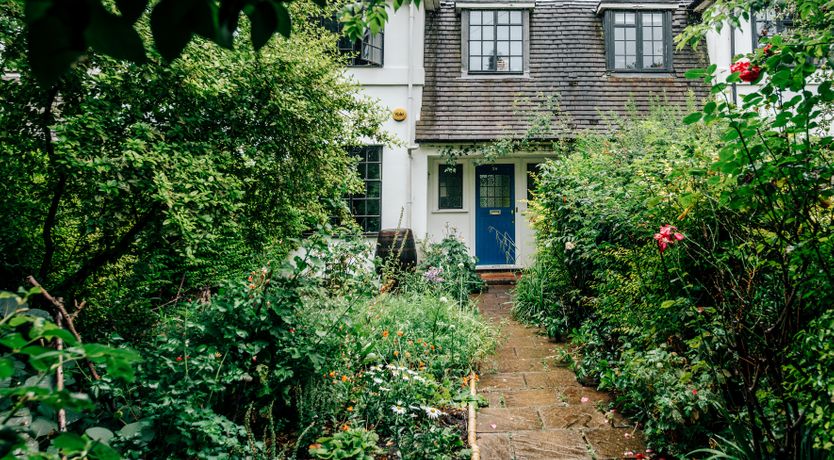 Photo of The Camberwell Flower