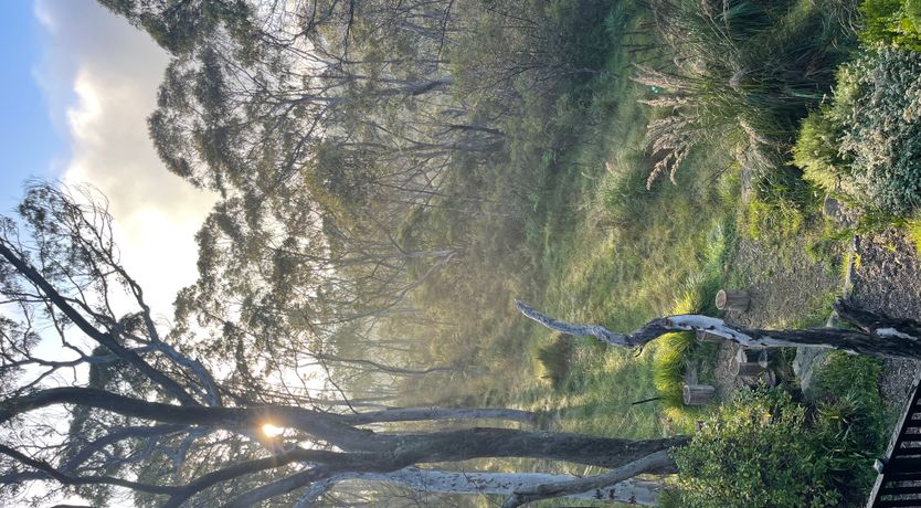 Photo of Stargazing Spirit