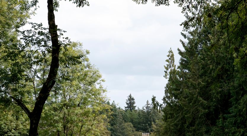 Photo of Enchanting Chieftains Castle