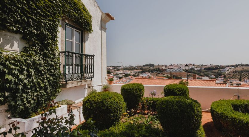 Photo of Sunkissed Delight