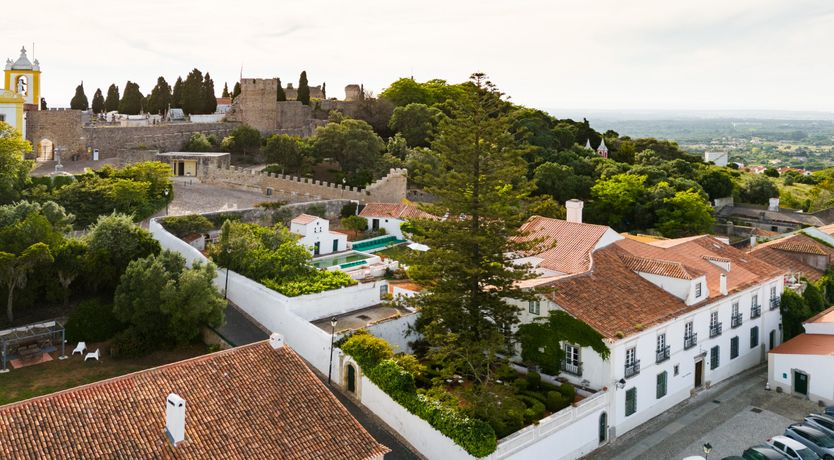 Photo of Sunkissed Delight